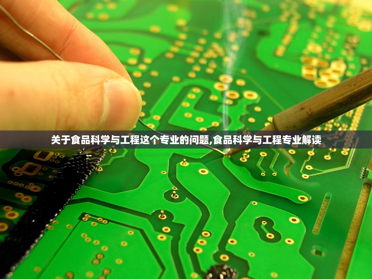 关于食品科学与工程这个专业的问题,食品科学与工程专业解读 关于食品科学与工程这个专业的问题,食品科学与工程专业解读