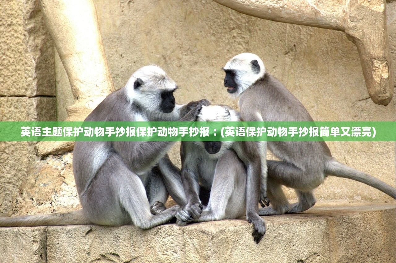 今日必看教程“雀神麻将充会员会不会影响胜率”2026开挂教程步骤