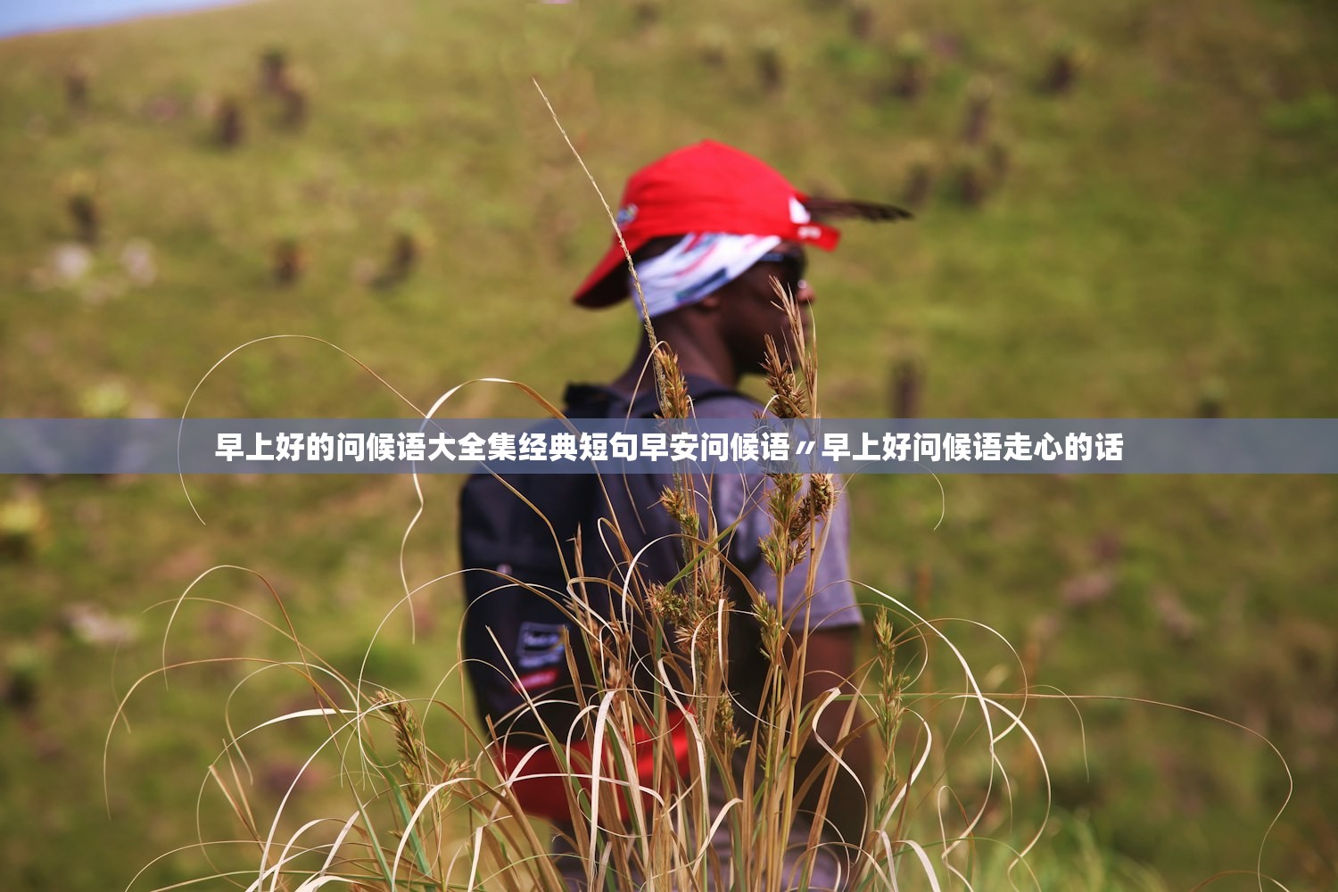 早上好的问候语大全集经典短句早安问候语〃早上好问候语走心的话