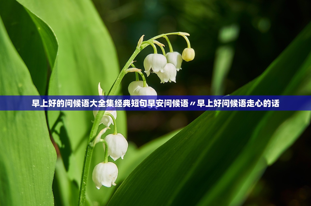 早上好的问候语大全集经典短句早安问候语〃早上好问候语走心的话