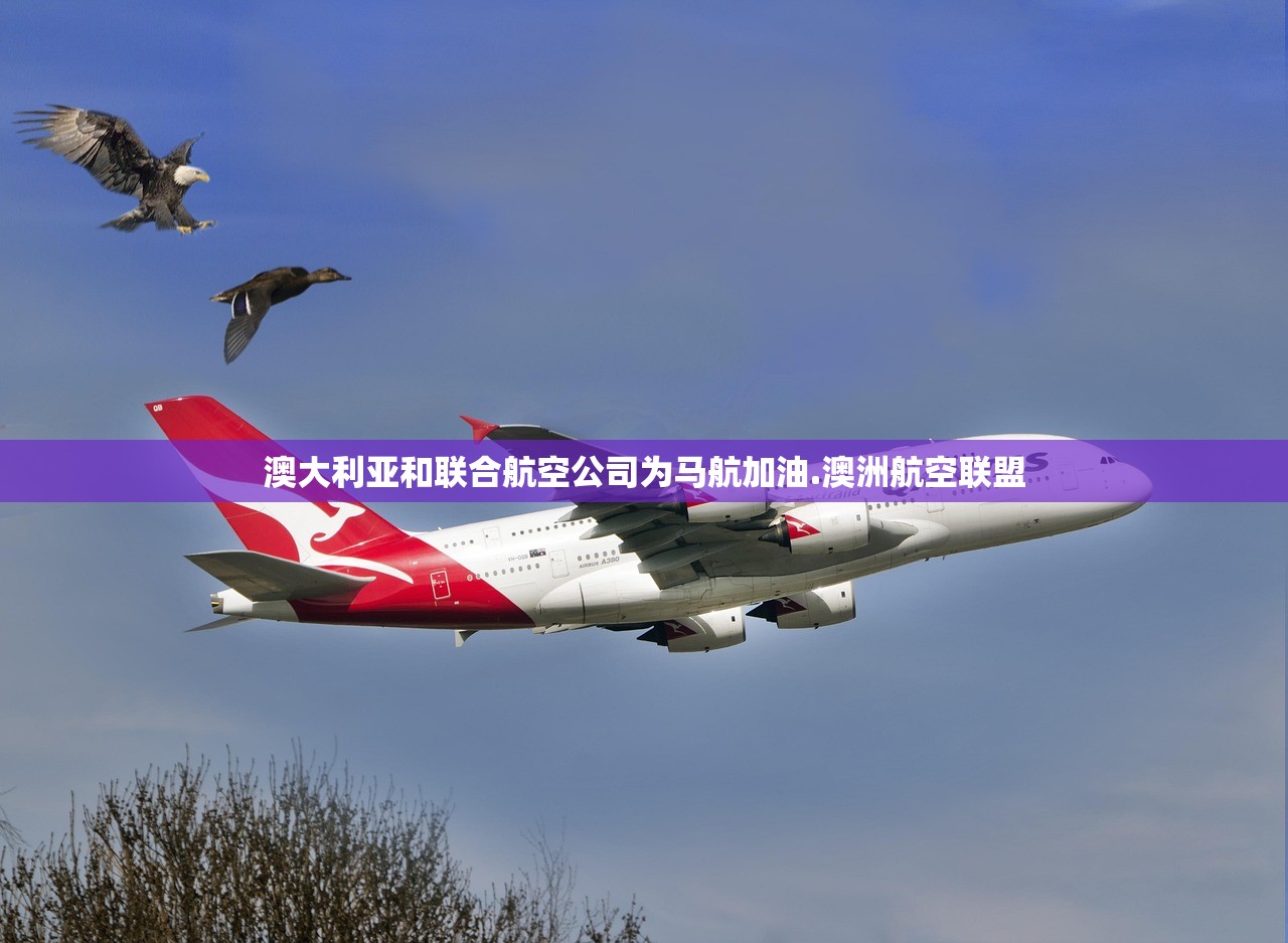 软件分享“微信小程序微乐麻将胡牌神器”附开挂脚本详细教程-知乎