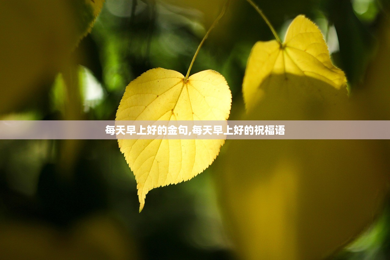 每天早上好的金句,每天早上好的祝福语