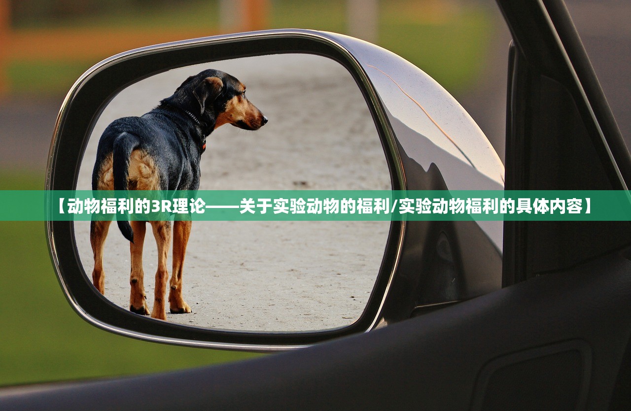 【动物福利的3R理论——关于实验动物的福利/实验动物福利的具体内容】