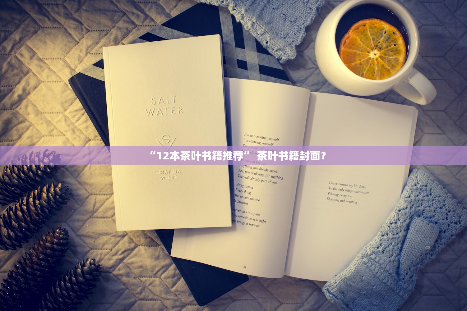 “12本茶叶书籍推荐” 茶叶书籍封面？
