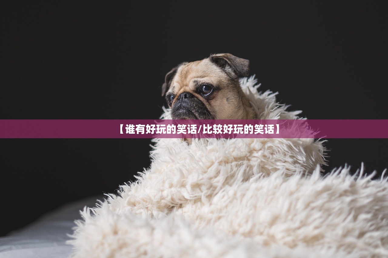 【谁有好玩的笑话/比较好玩的笑话】