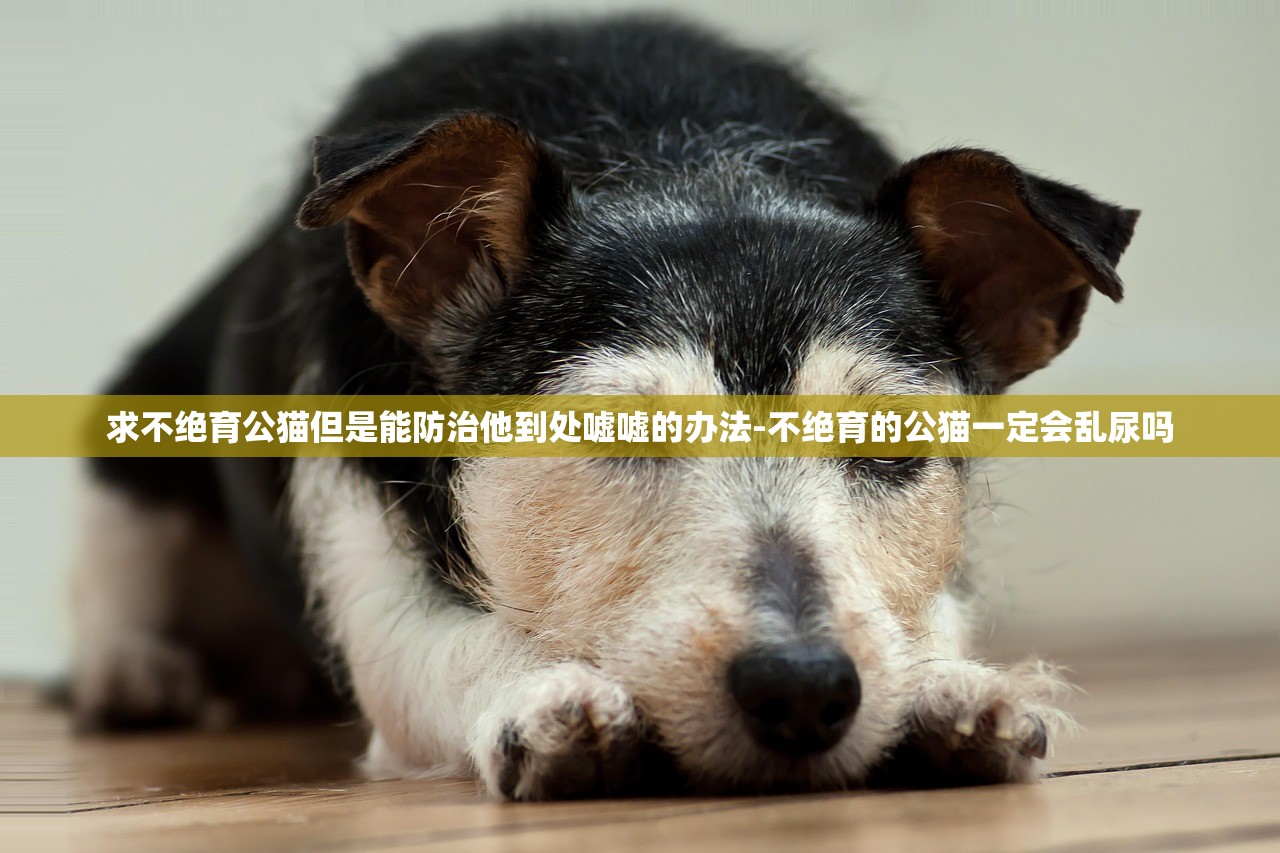 教程辅助“微乐云南麻将小程序开挂	”2026开挂教程步骤