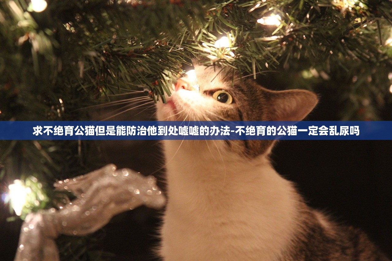 求不绝育公猫但是能防治他到处嘘嘘的办法-不绝育的公猫一定会乱尿吗