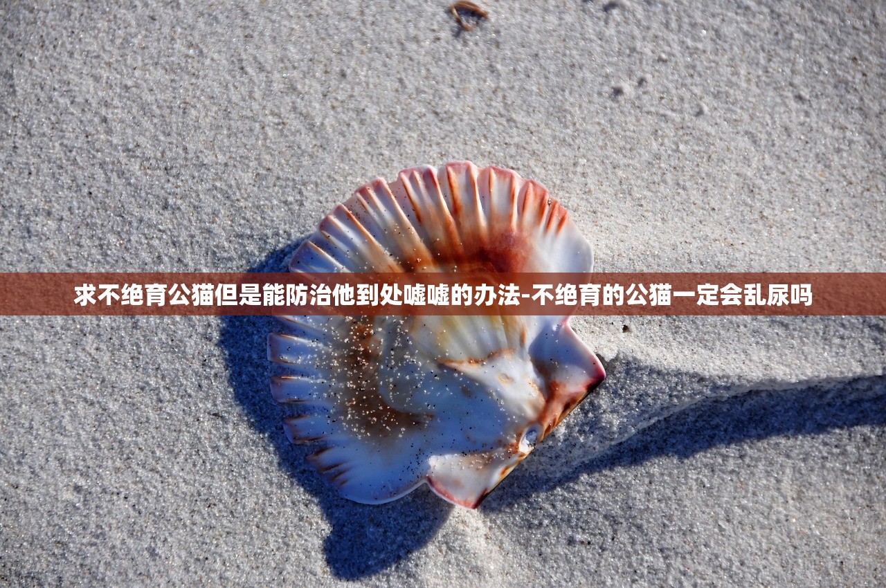 求不绝育公猫但是能防治他到处嘘嘘的办法-不绝育的公猫一定会乱尿吗