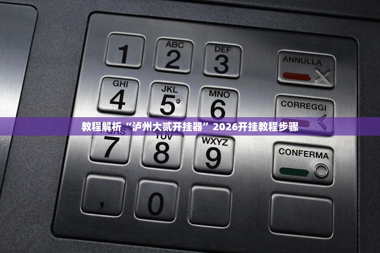 教程解析“泸州大贰开挂器”2026开挂教程步骤