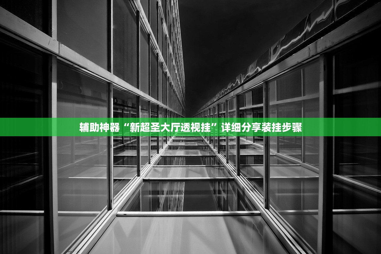 辅助神器“新超圣大厅透视挂”详细分享装挂步骤
