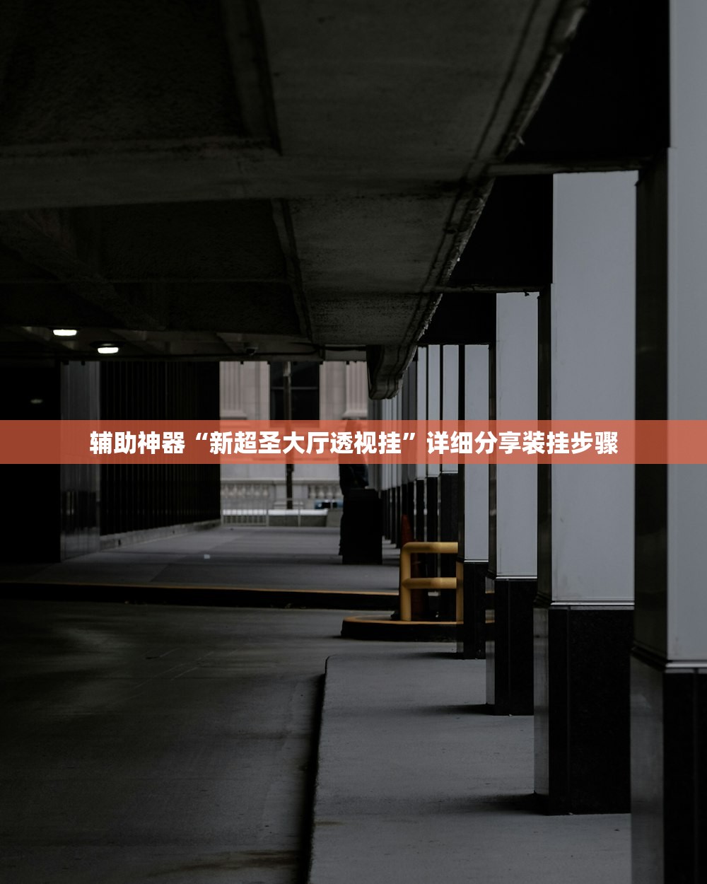 辅助神器“新超圣大厅透视挂”详细分享装挂步骤