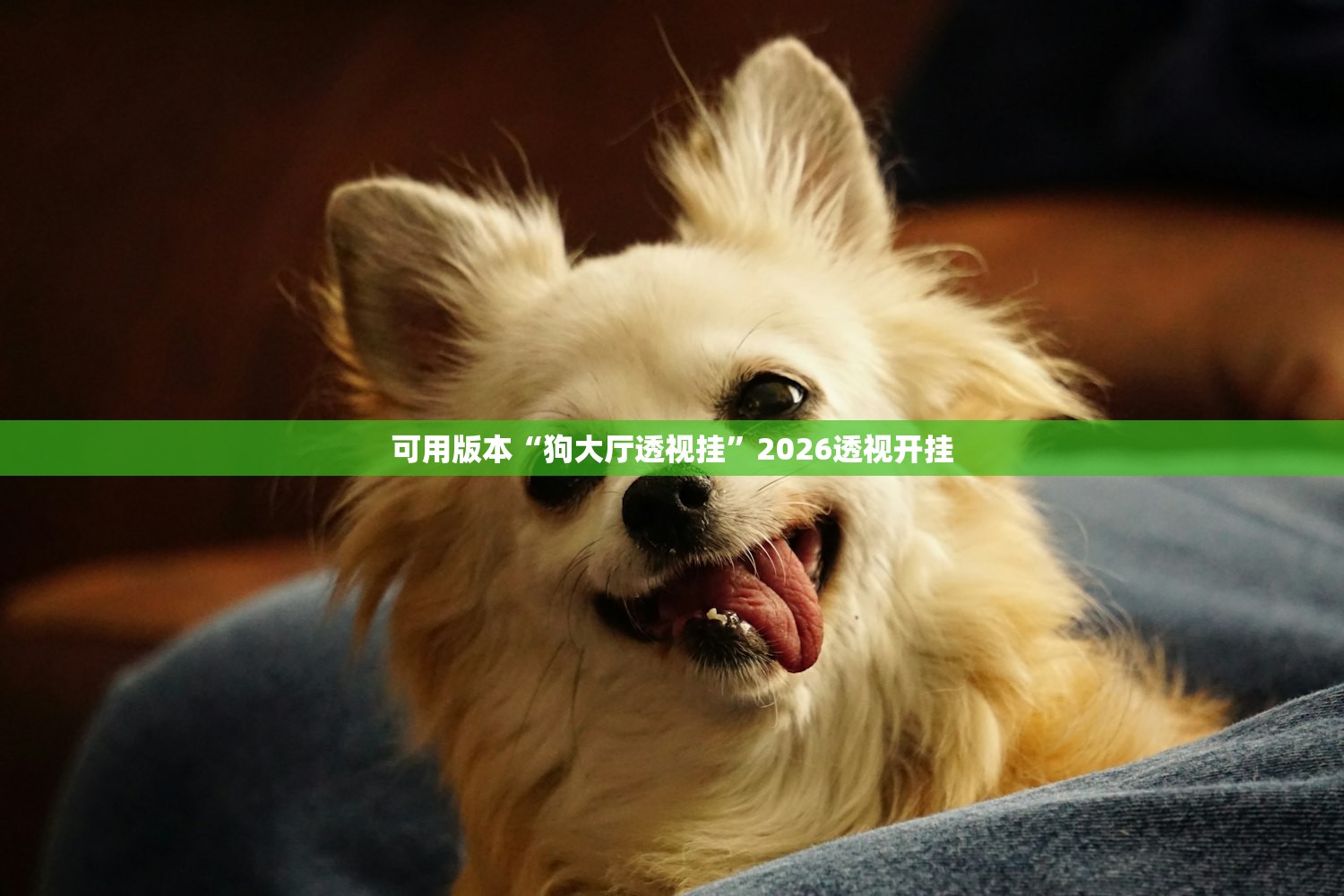 可用版本“狗大厅透视挂”2026透视开挂
