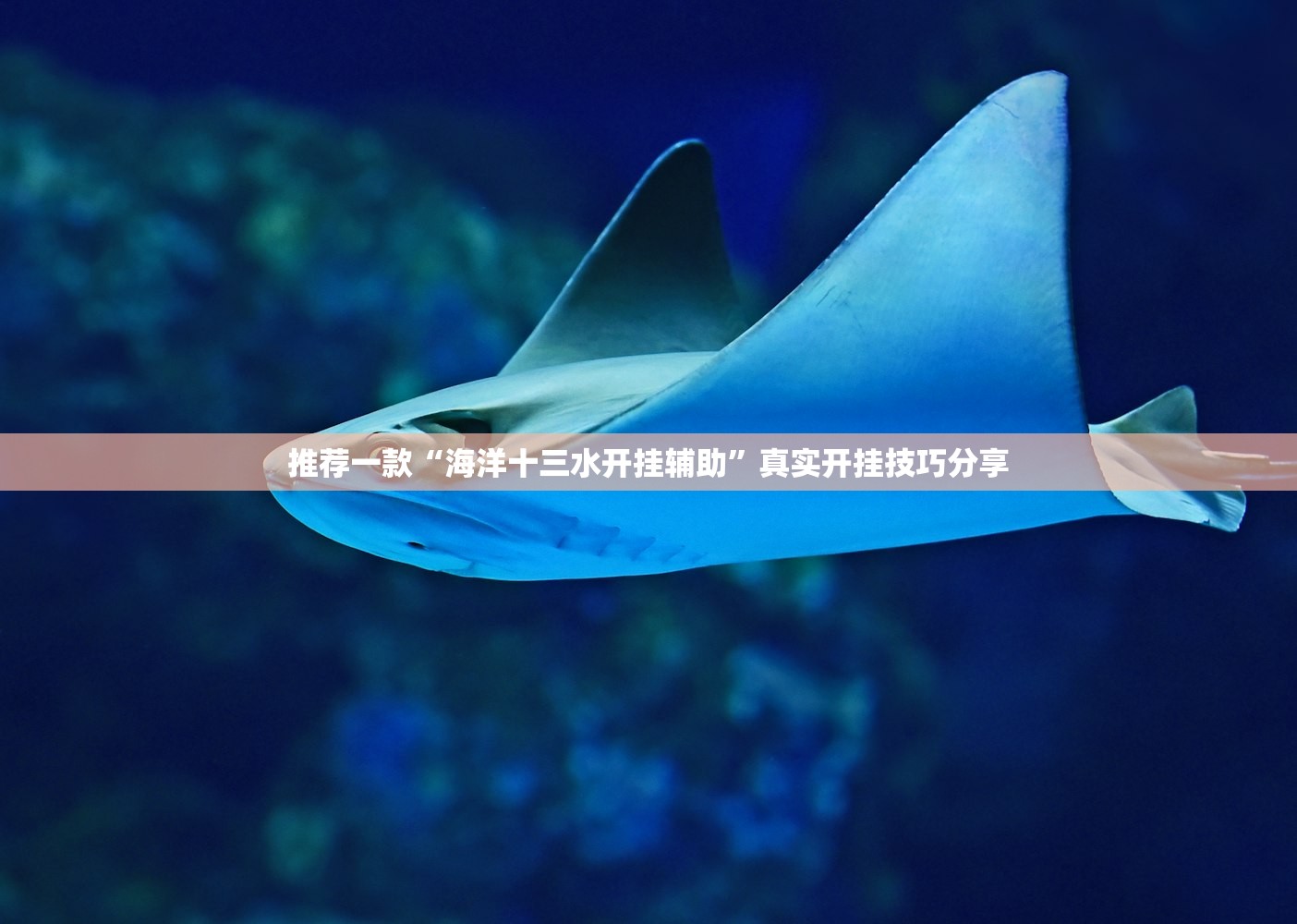 推荐一款“海洋十三水开挂辅助”真实开挂技巧分享