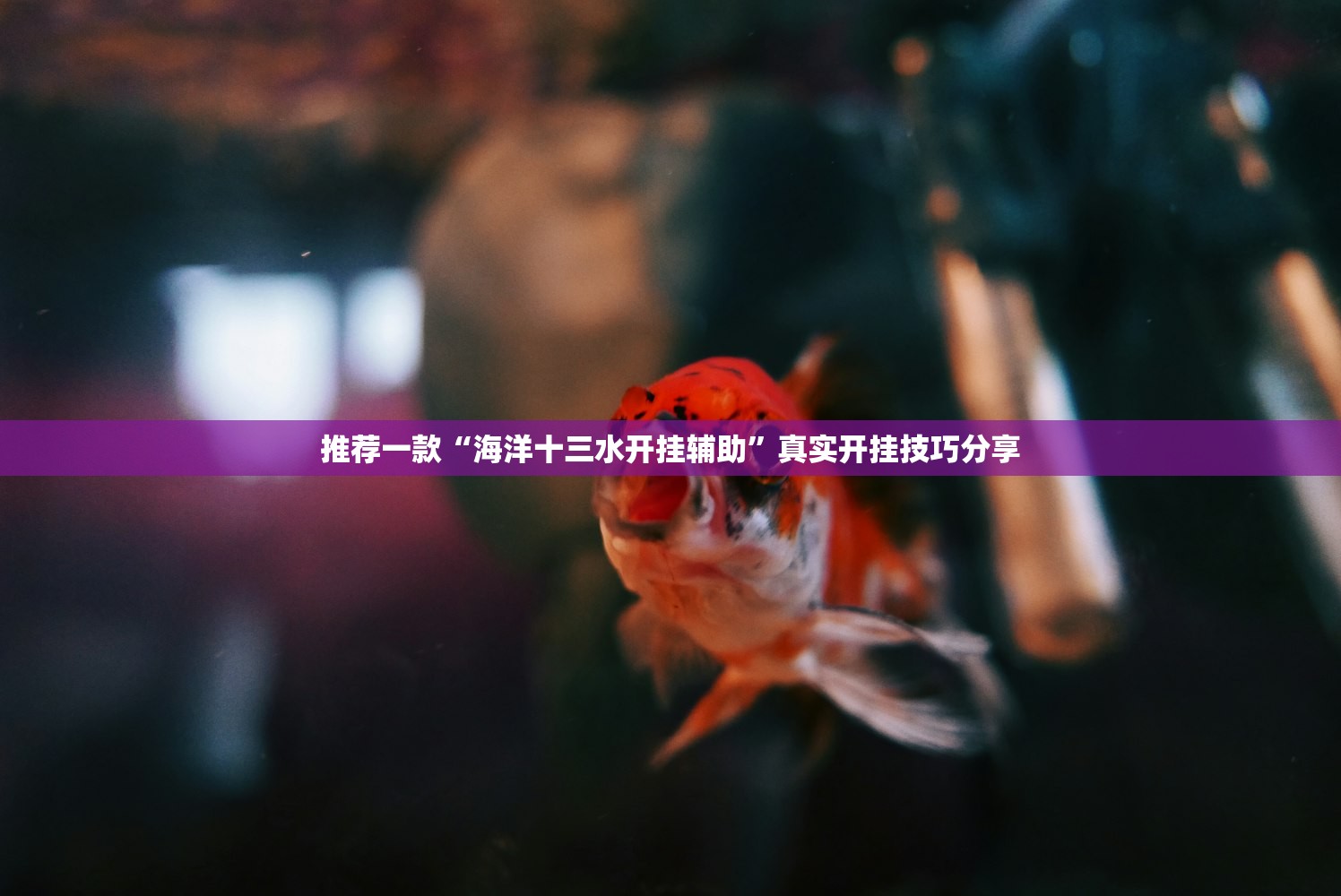 推荐一款“海洋十三水开挂辅助”真实开挂技巧分享