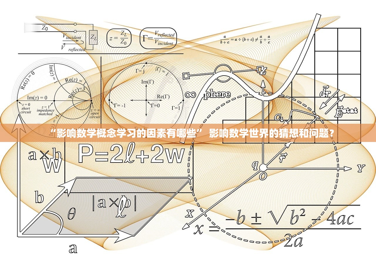 “影响数学概念学习的因素有哪些” 影响数学世界的猜想和问题？