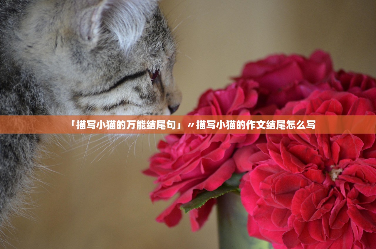 「描写小猫的万能结尾句」〃描写小猫的作文结尾怎么写