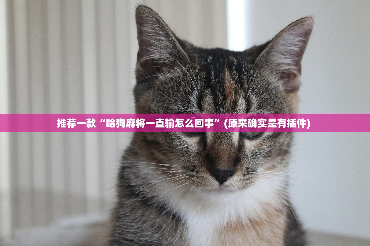 推荐一款“哈狗麻将一直输怎么回事”(原来确实是有插件) 