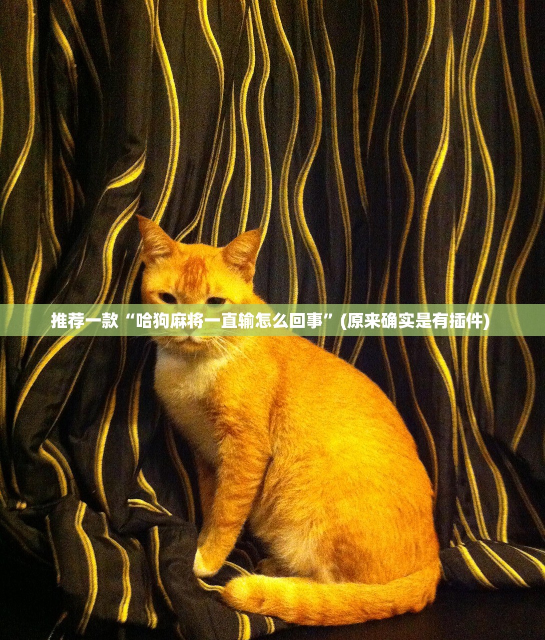 推荐一款“哈狗麻将一直输怎么回事”(原来确实是有插件) 