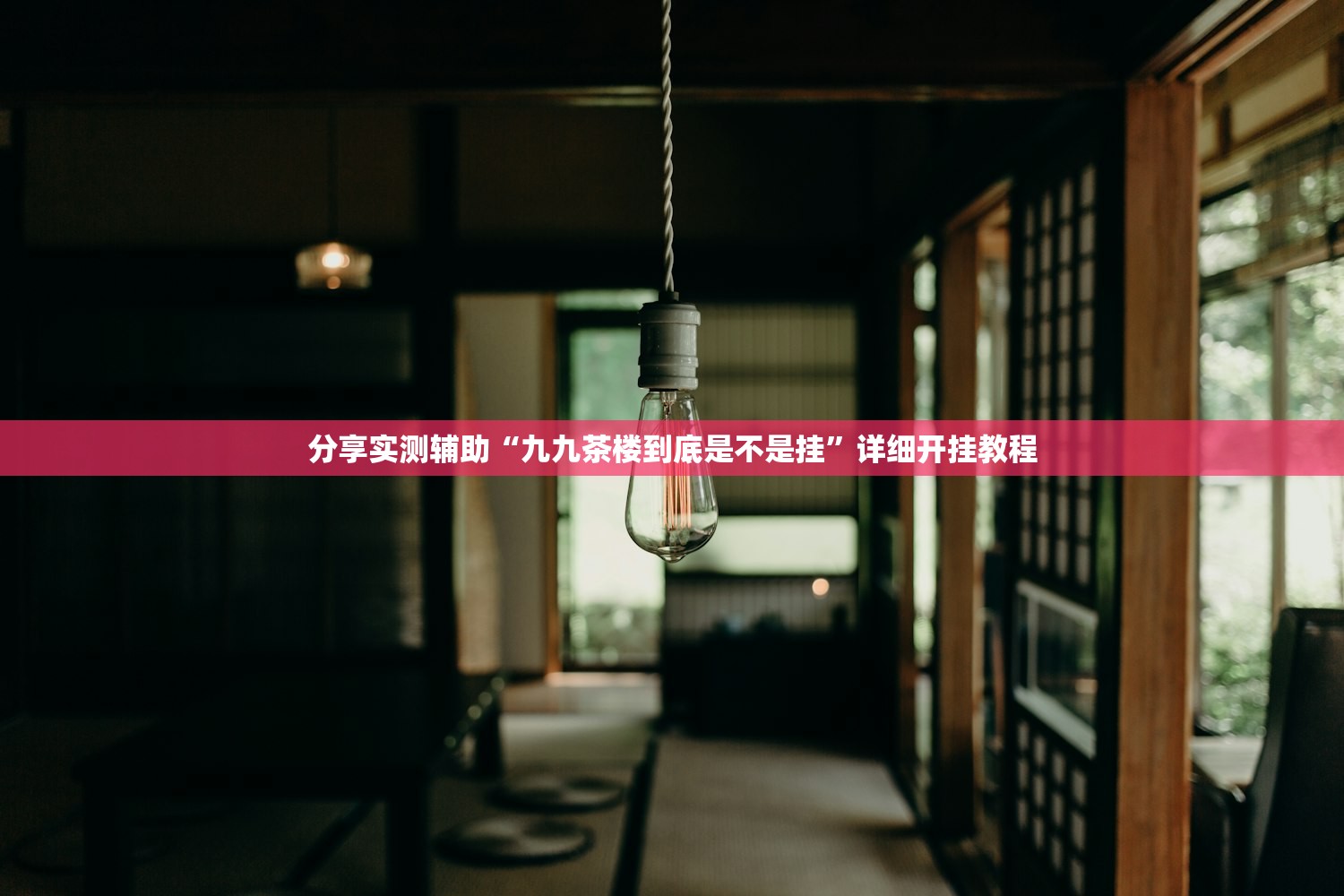 分享实测辅助“九九茶楼到底是不是挂”详细开挂教程