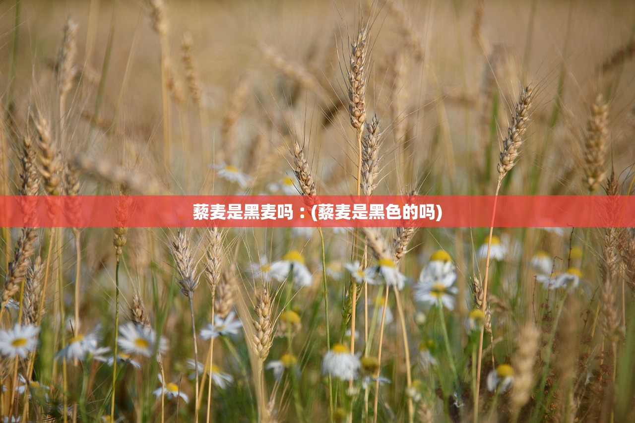 藜麦是黑麦吗︰(藜麦是黑色的吗)