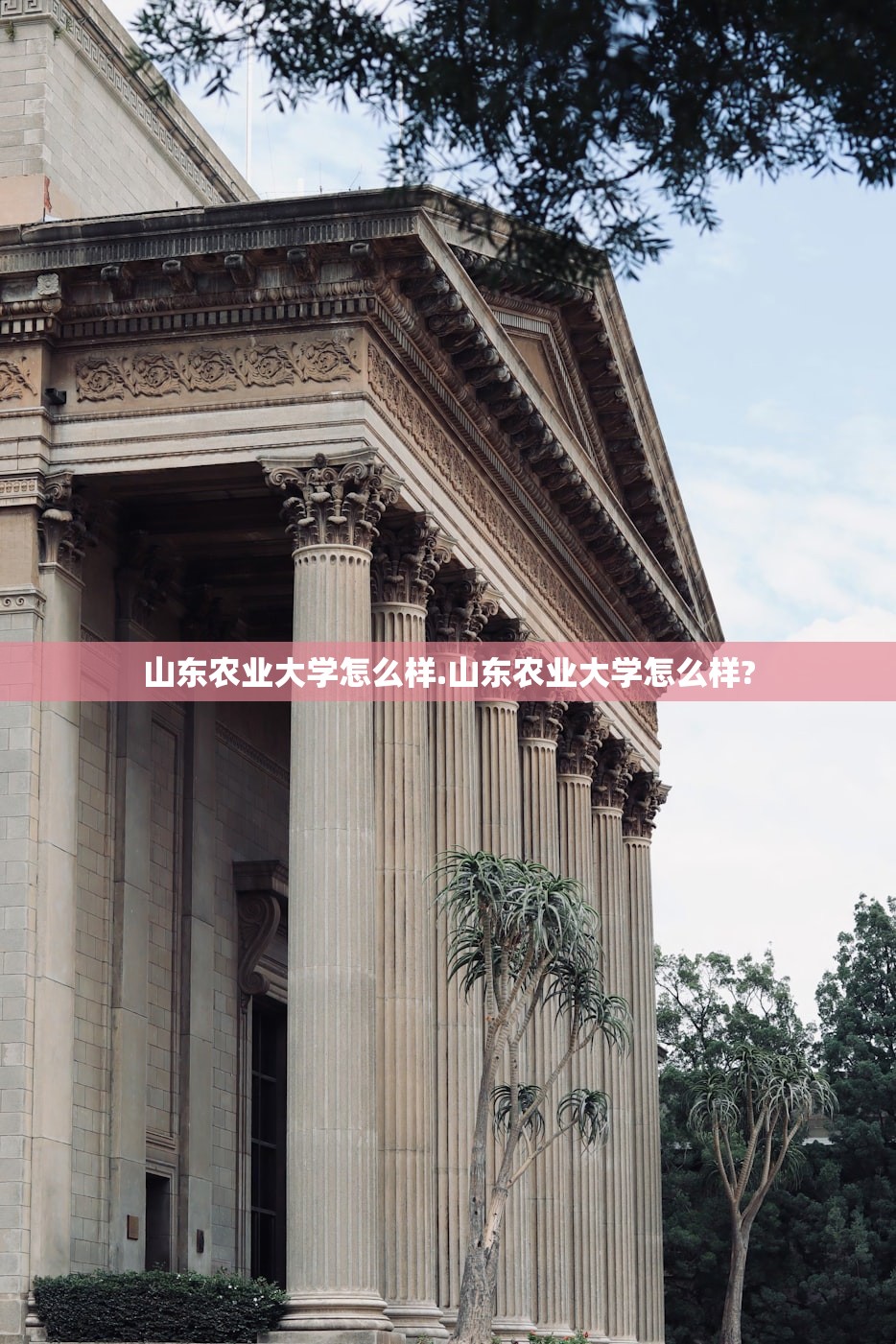 山东农业大学怎么样.山东农业大学怎么样?