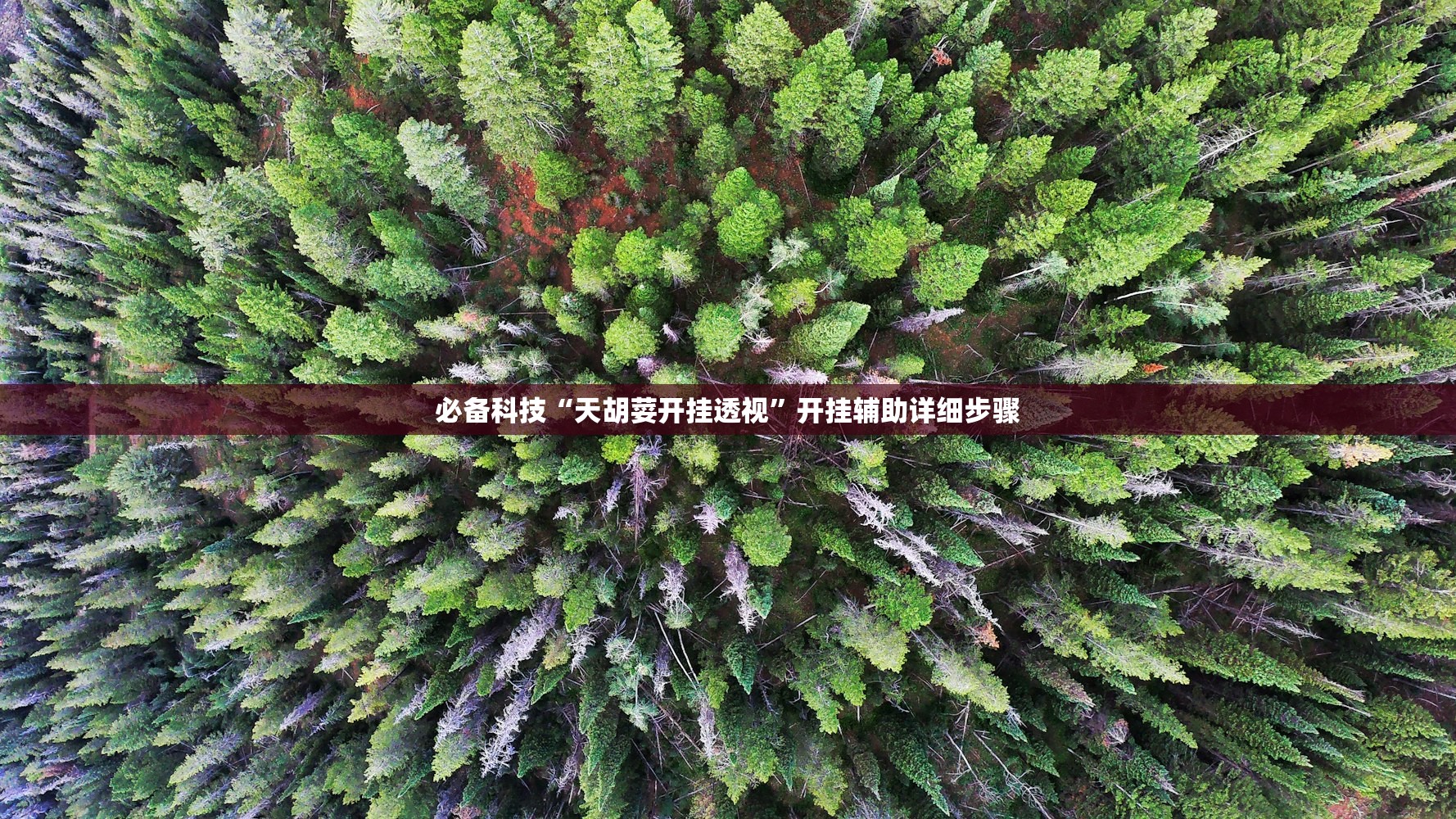 必备科技“天胡荽开挂透视”开挂辅助详细步骤