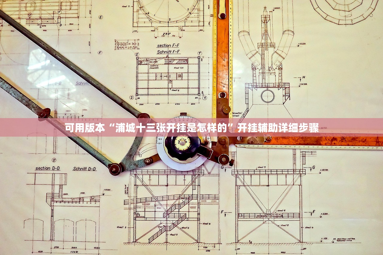 可用版本“浦城十三张开挂是怎样的”开挂辅助详细步骤