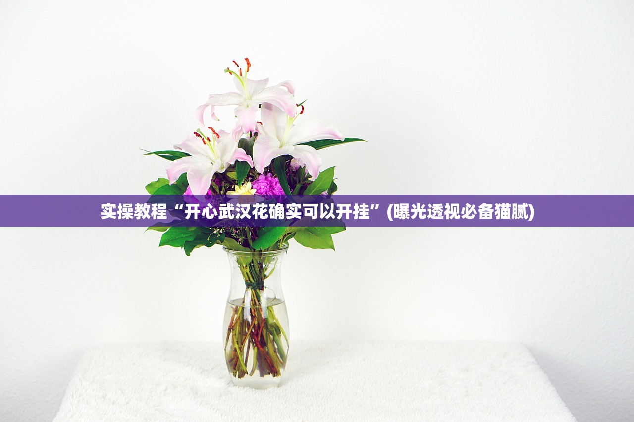 实操教程“开心武汉花确实可以开挂”(曝光透视必备猫腻)