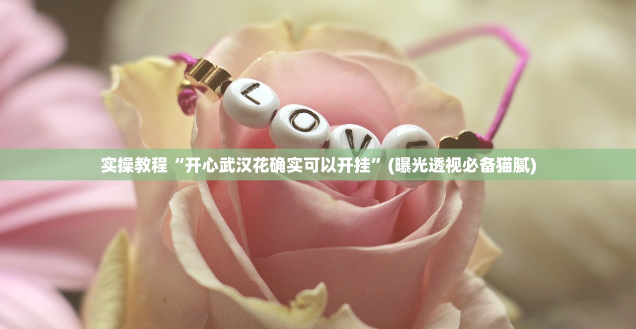 实操教程“开心武汉花确实可以开挂”(曝光透视必备猫腻)
