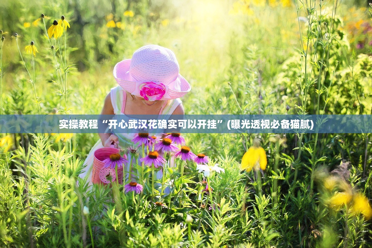 实操教程“开心武汉花确实可以开挂”(曝光透视必备猫腻)