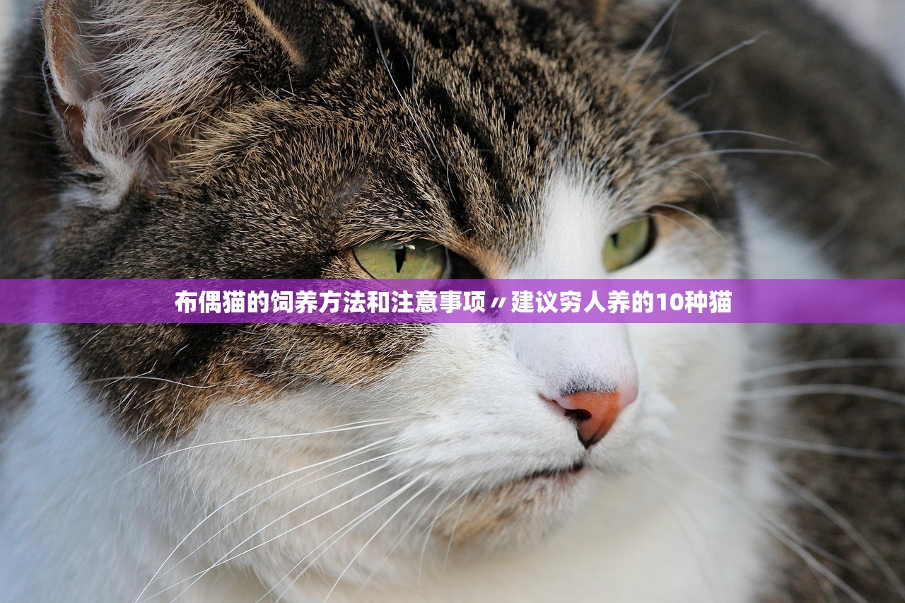 教程辅助！“微乐湖南麻将万能开挂器免费”(原来确实是有插件) 