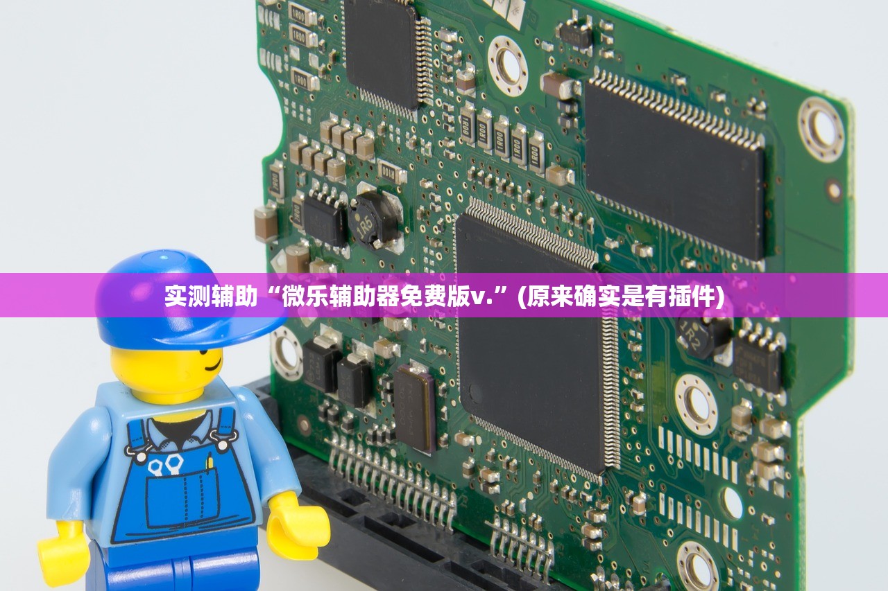 实测辅助“微乐辅助器免费版v.”(原来确实是有插件)