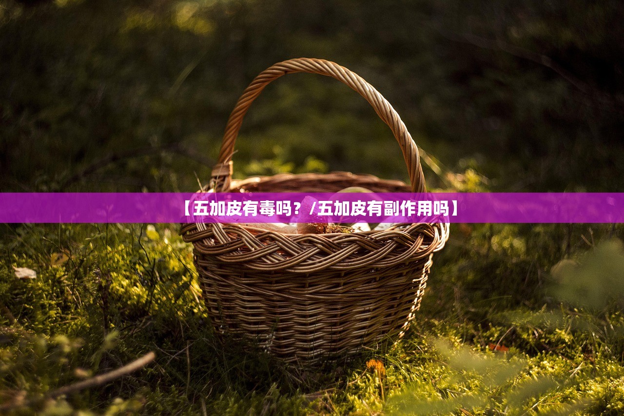 【五加皮有毒吗？/五加皮有副作用吗】