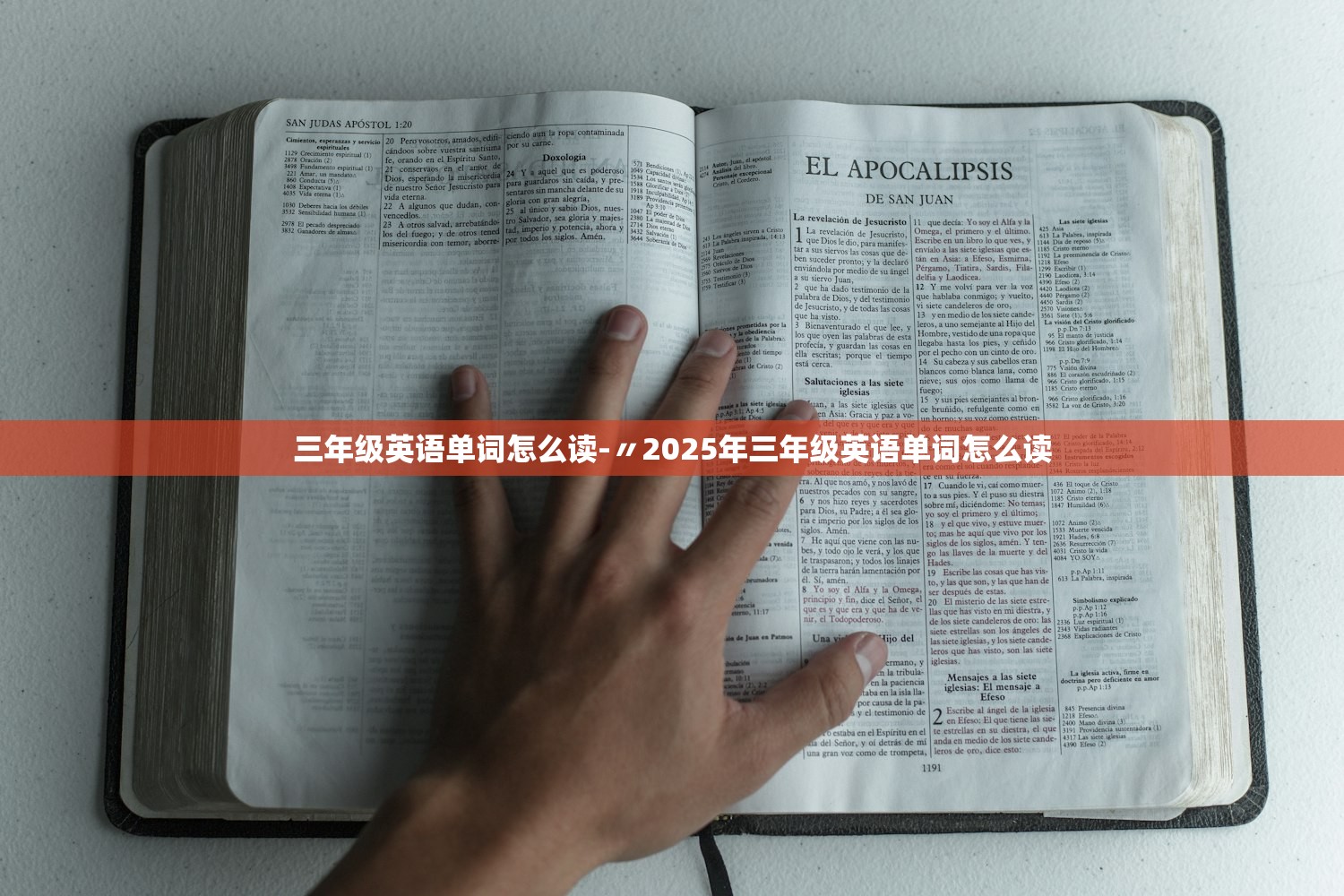 三年级英语单词怎么读-〃2025年三年级英语单词怎么读