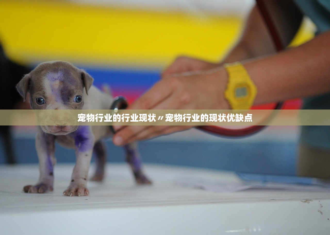 宠物行业的行业现状〃宠物行业的现状优缺点