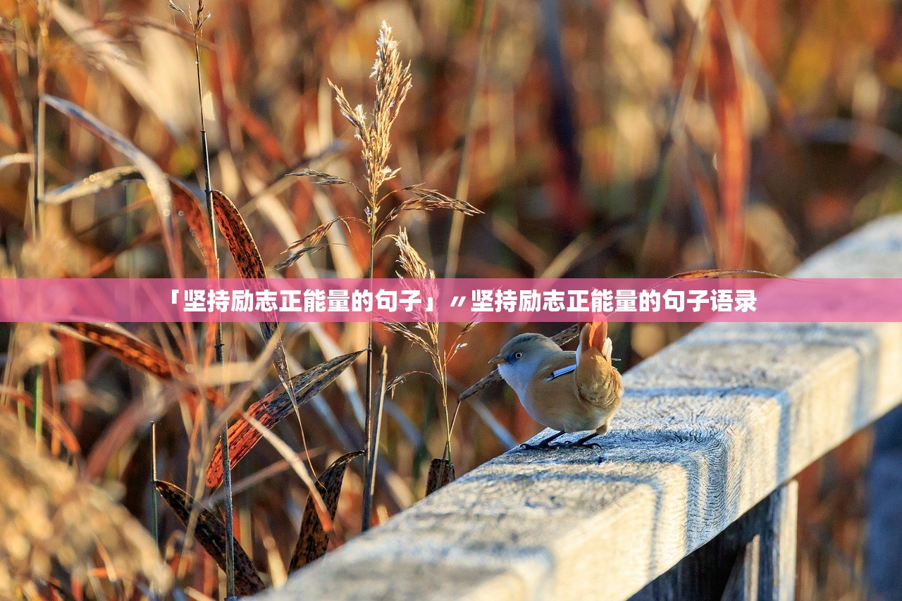 「坚持励志正能量的句子」〃坚持励志正能量的句子语录