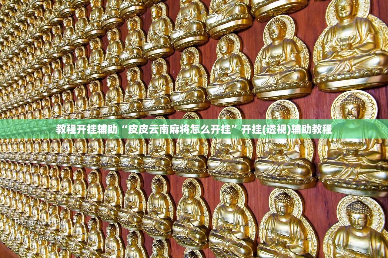 教程开挂辅助“皮皮云南麻将怎么开挂”开挂(透视)辅助教程