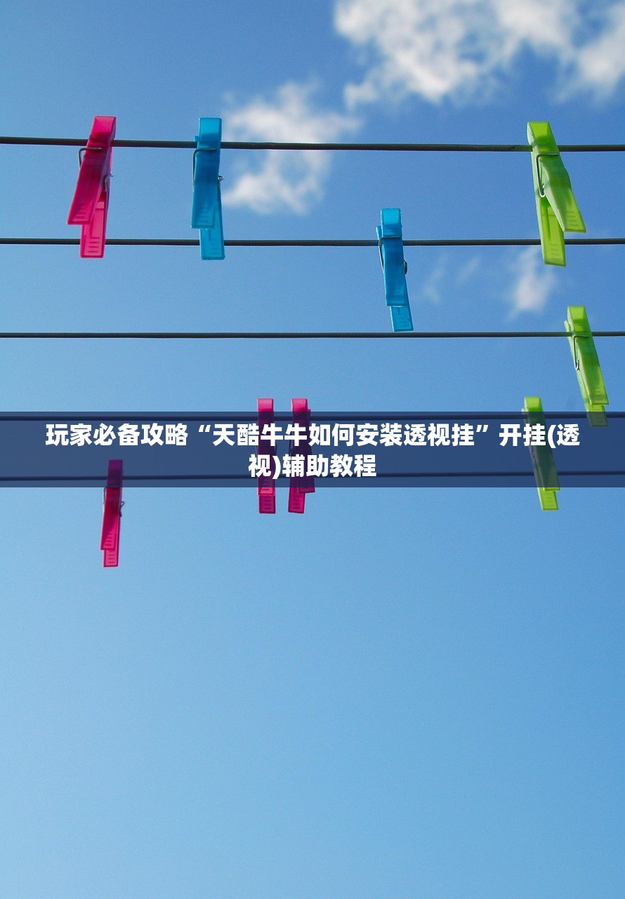 玩家必备攻略“天酷牛牛如何安装透视挂	”开挂(透视)辅助教程