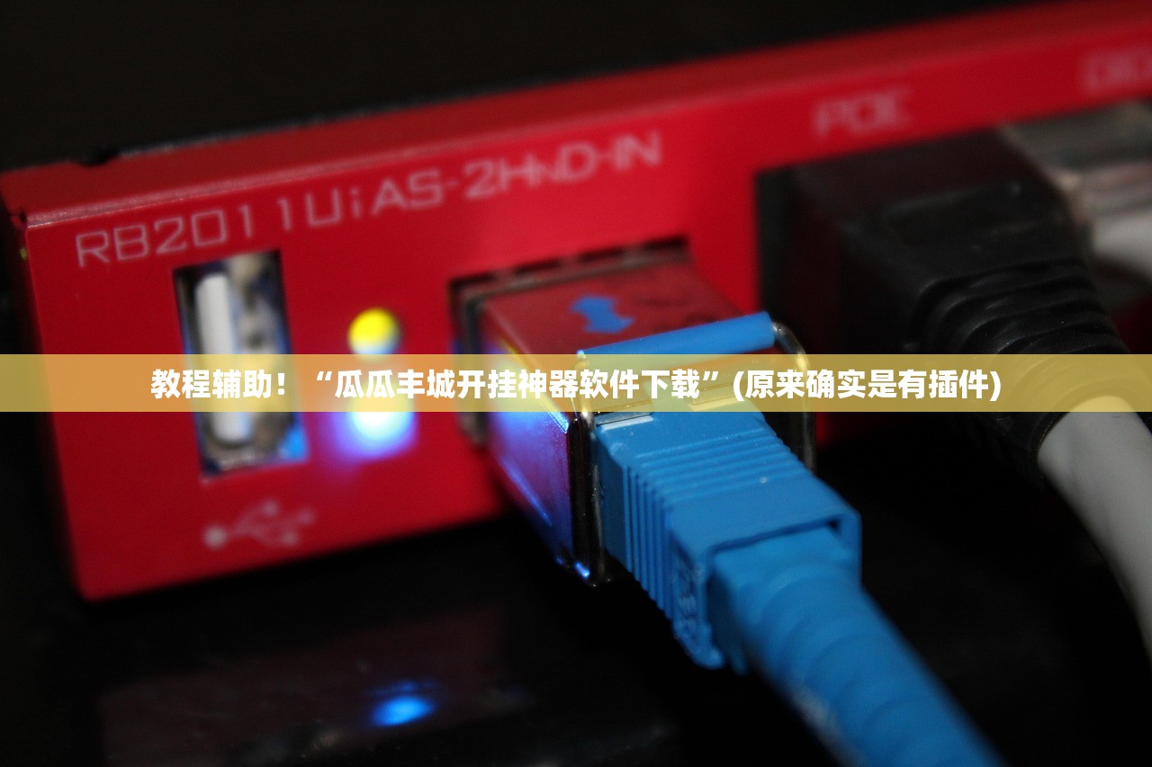 教程辅助！“瓜瓜丰城开挂神器软件下载	”(原来确实是有插件)