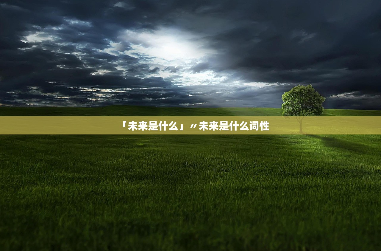 「未来是什么」〃未来是什么词性