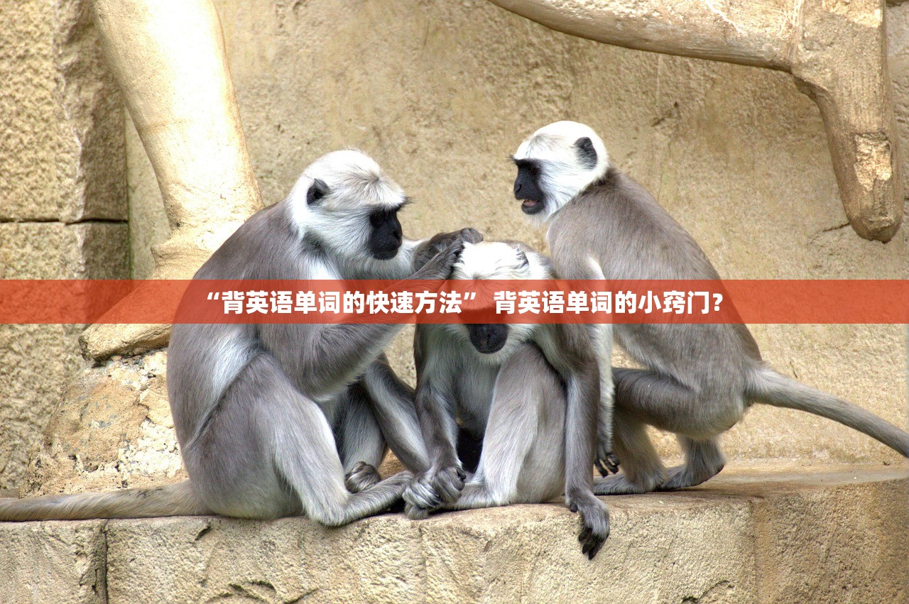 “背英语单词的快速方法” 背英语单词的小窍门？