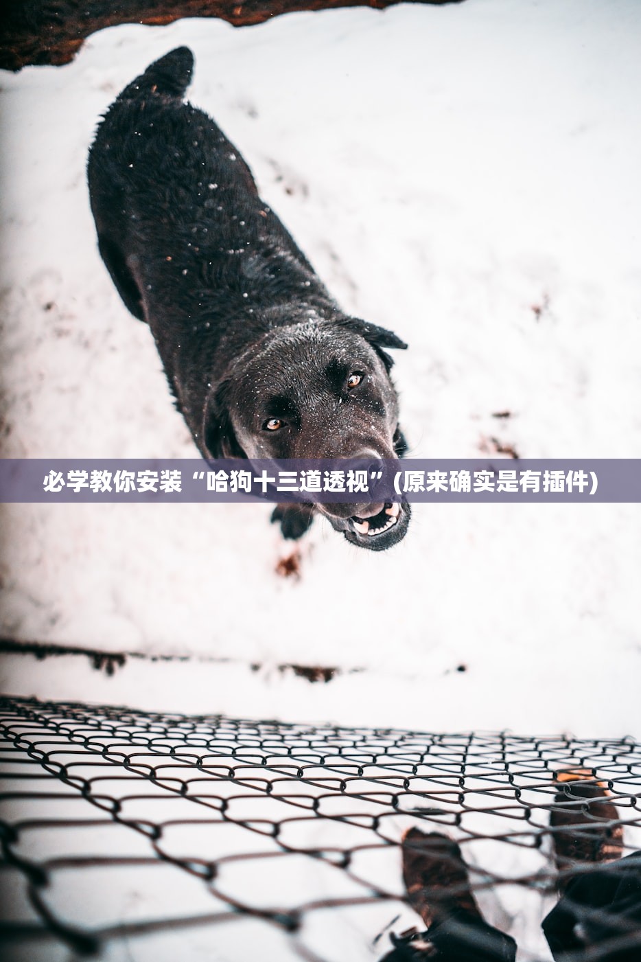 必学教你安装“哈狗十三道透视”(原来确实是有插件)