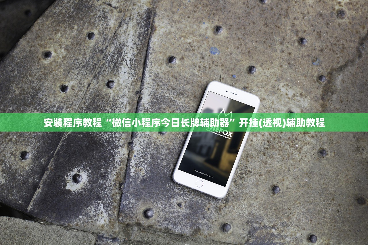 安装程序教程“微信小程序今日长牌辅助器”开挂(透视)辅助教程