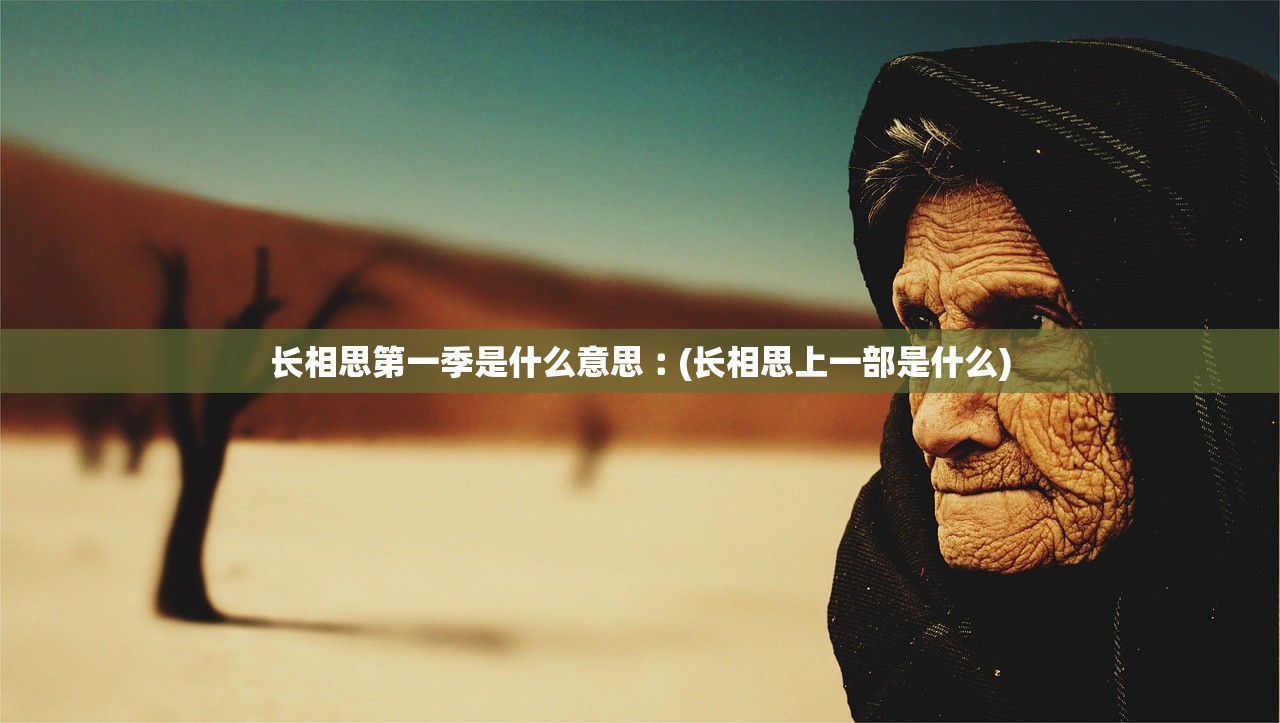 长相思第一季是什么意思︰(长相思上一部是什么)