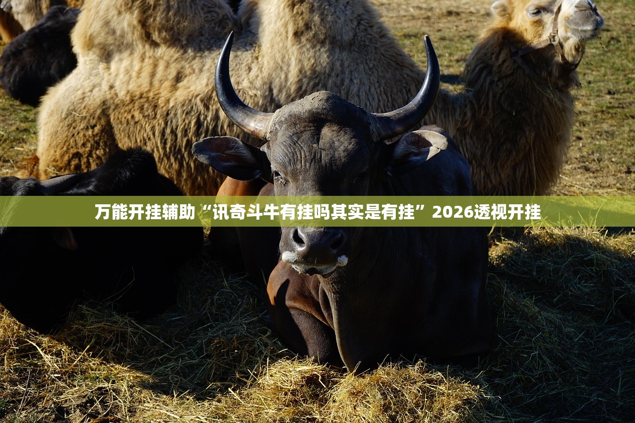 万能开挂辅助“讯奇斗牛有挂吗其实是有挂”2026透视开挂