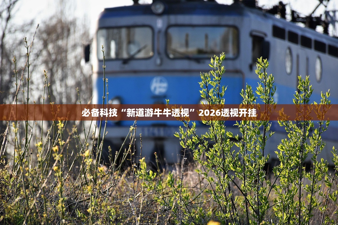 必备科技“新道游牛牛透视”2026透视开挂