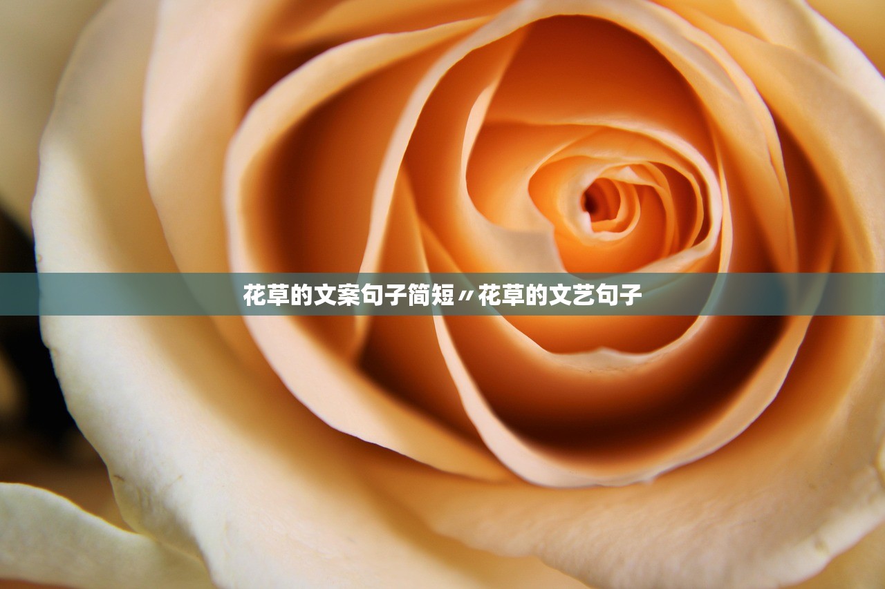花草的文案句子简短〃花草的文艺句子 花草的文案句子简短〃花草的文艺句子
