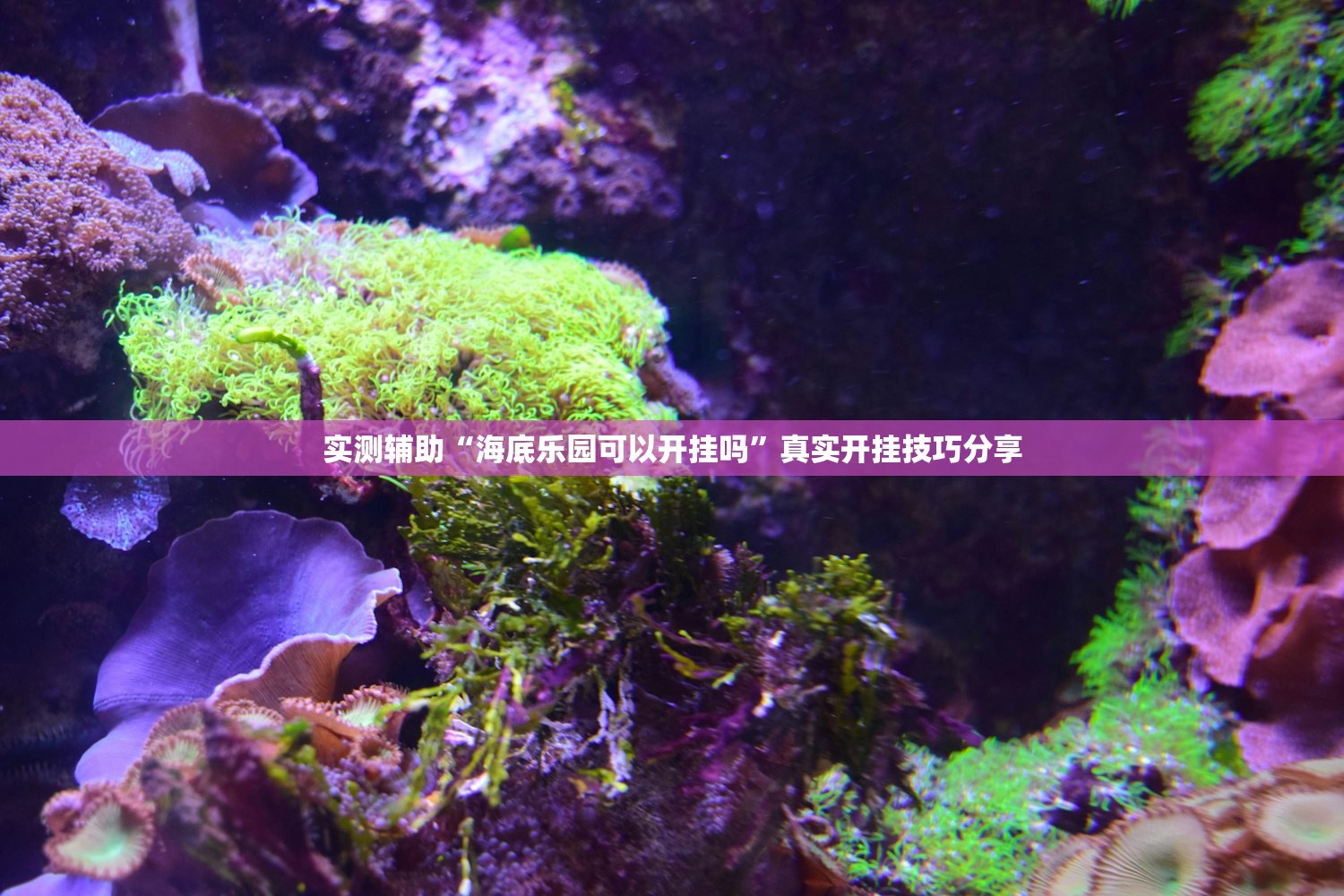 实测辅助“海底乐园可以开挂吗”真实开挂技巧分享