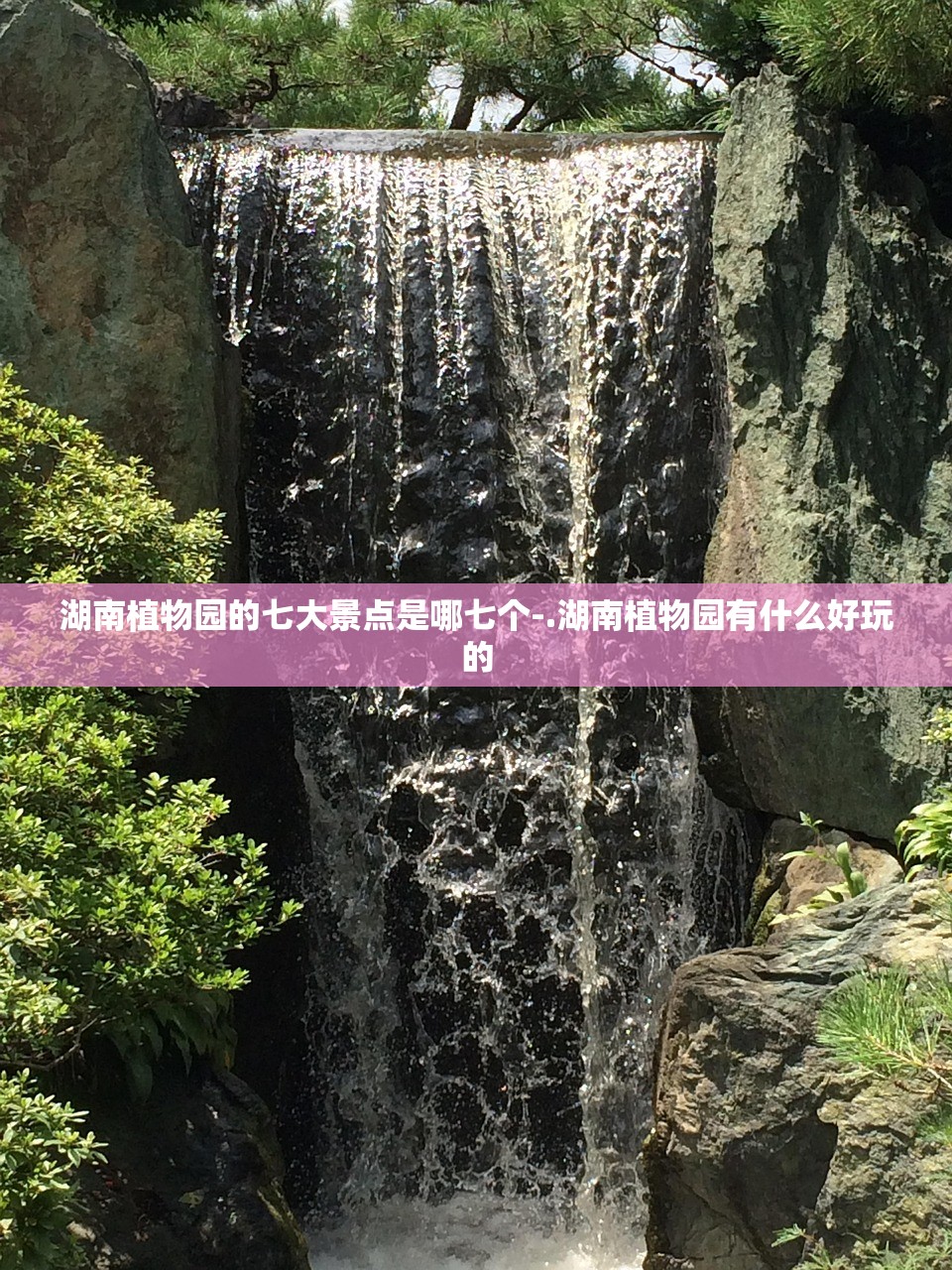 湖南植物园的七大景点是哪七个-.湖南植物园有什么好玩的