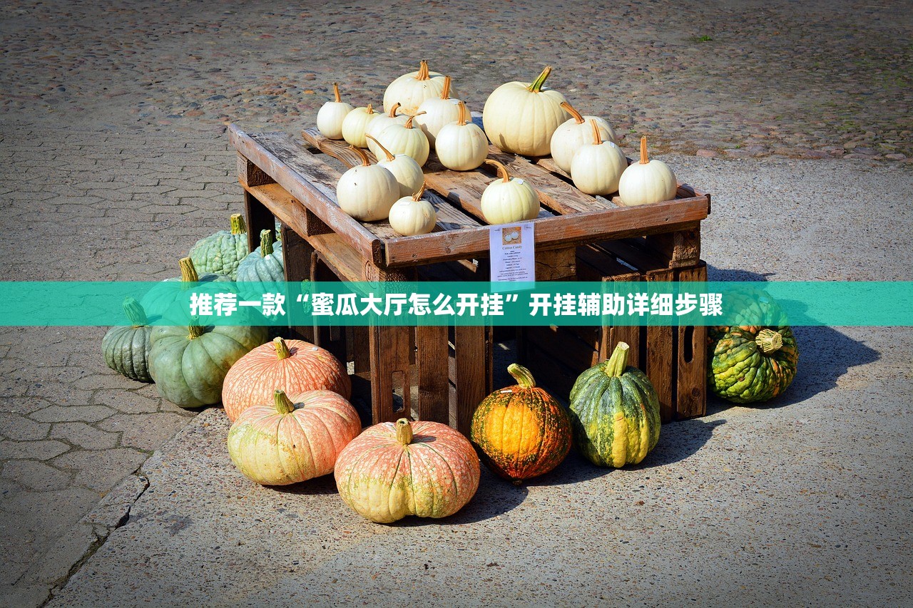 推荐一款“蜜瓜大厅怎么开挂”开挂辅助详细步骤